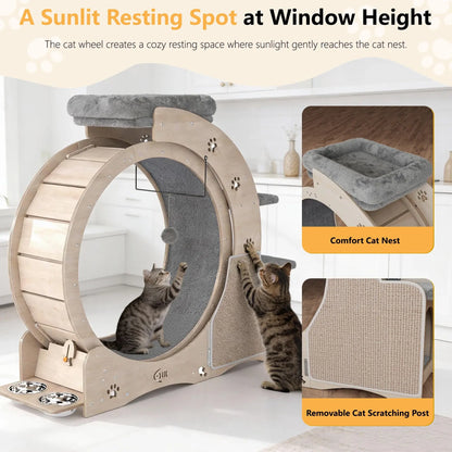 NAVINE 40" Cat Exercise Wheel for Indoor Cats, Cat Treadmill with Cat Nest, Cat Wheel with Safety Locker, Cat Scratching Post, Cat House, Cat Ladder and Cat Bowl