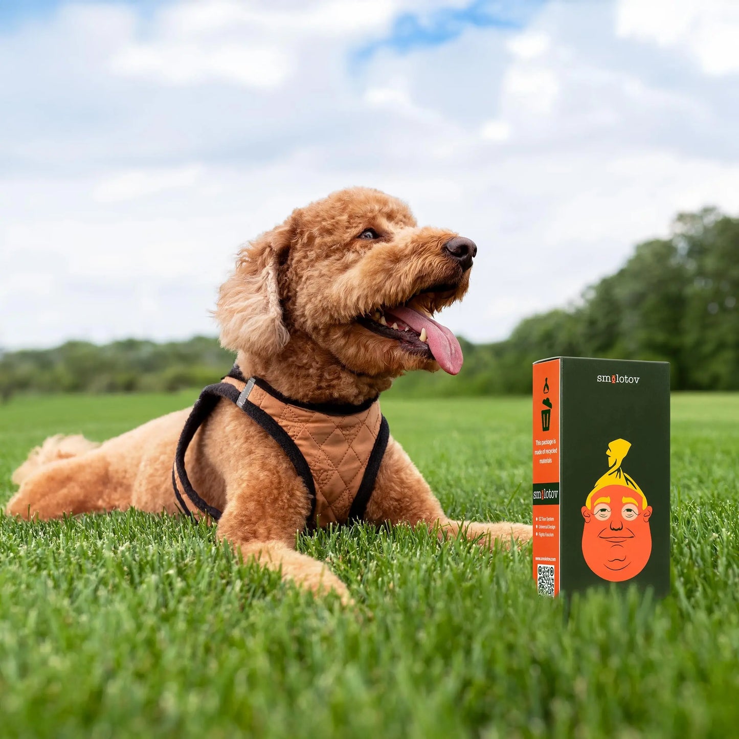 High-Quality Dog Poop Bags with Funny Faces, Unscented, Leak-Proof, 4 Rolls (60 Pieces), Ideal for Pet Owners, Convenient and Practical Supplies